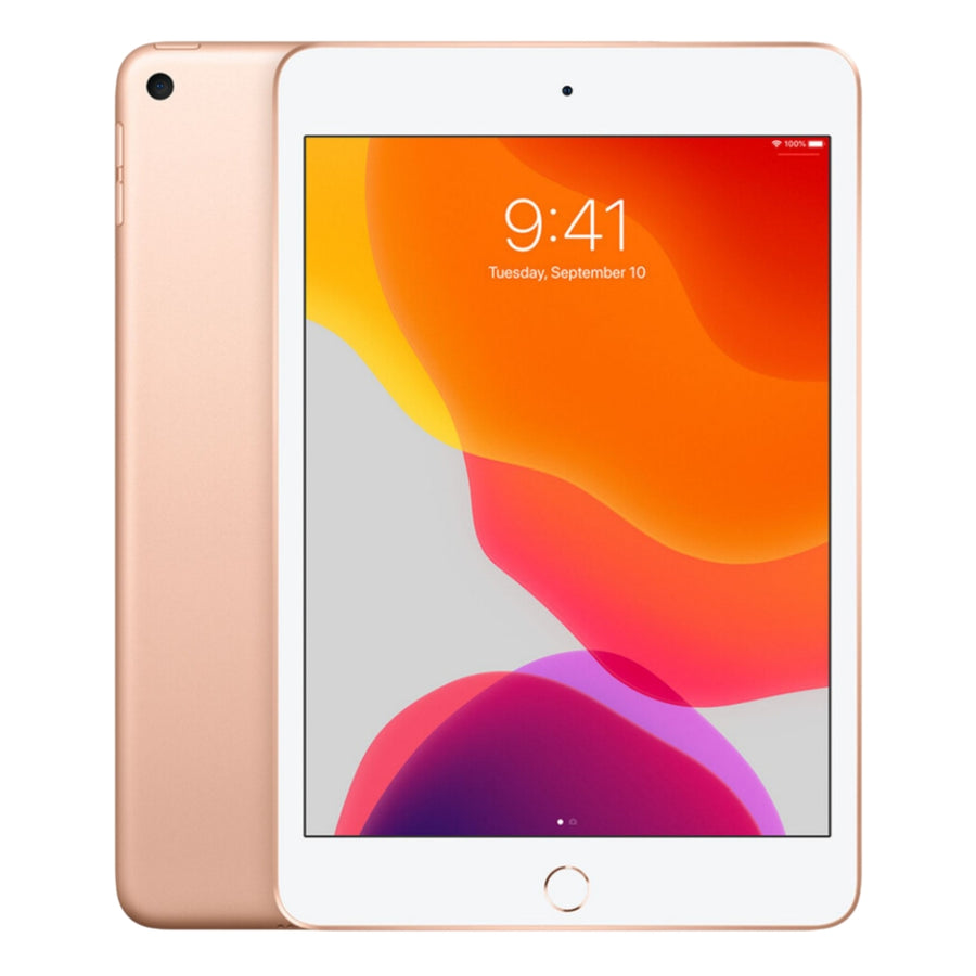 iPad Mini 5th Gen (2019) WiFi — Gold / 64GB / Fair