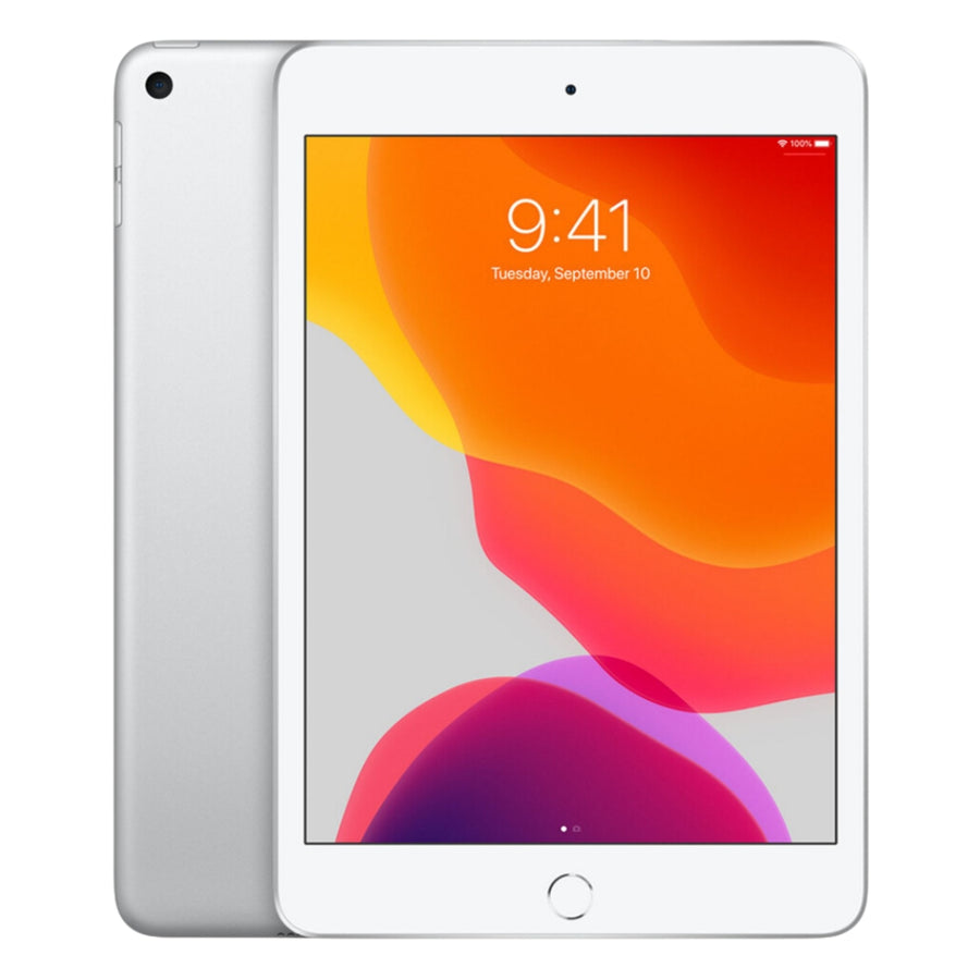 iPad Mini 5th Gen (2019) WiFi + 4G — Silver / 256GB / Fair
